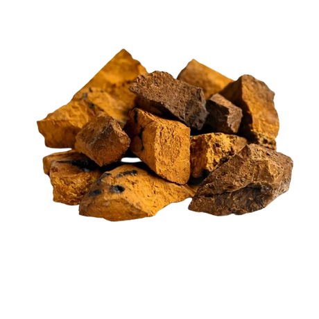 チャーガマッシュルーム多糖類