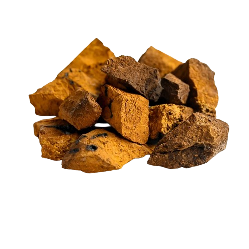 פוליסכרידים של פטריות צ'אגה