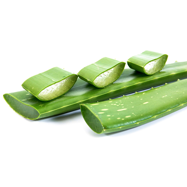 Ekstrak Lidah Buaya