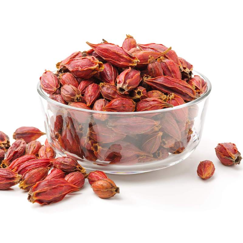 Chiết xuất cây sơn chi