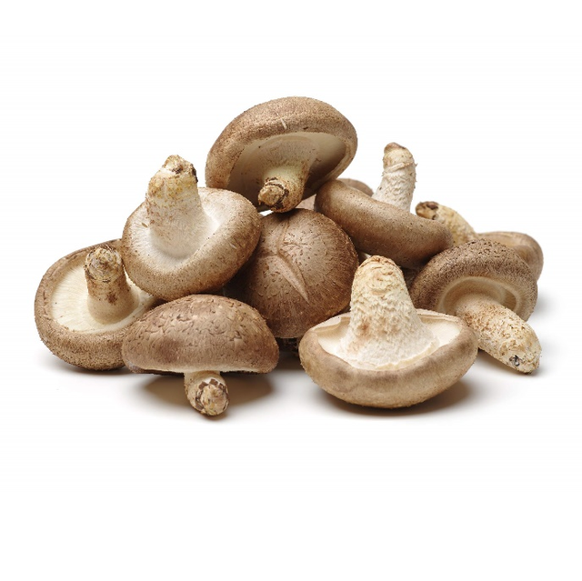 Chiết xuất bột Shiitake