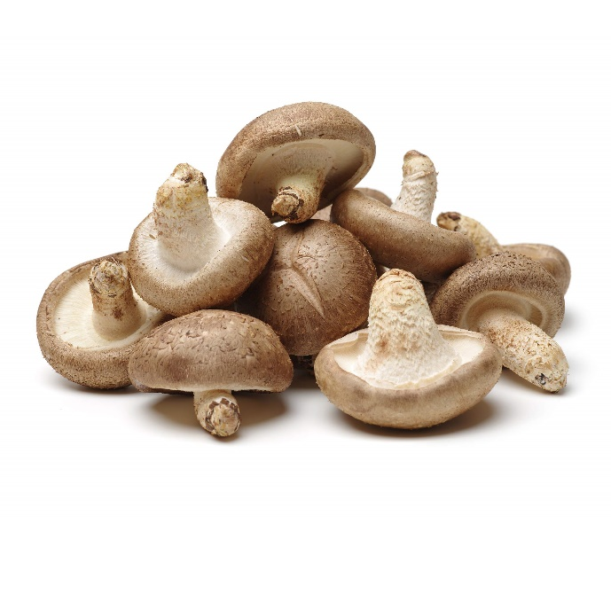 Shiitake-Pulverextrakt