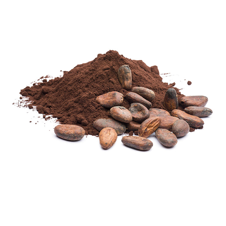 תמצית זרעי גריפוניה