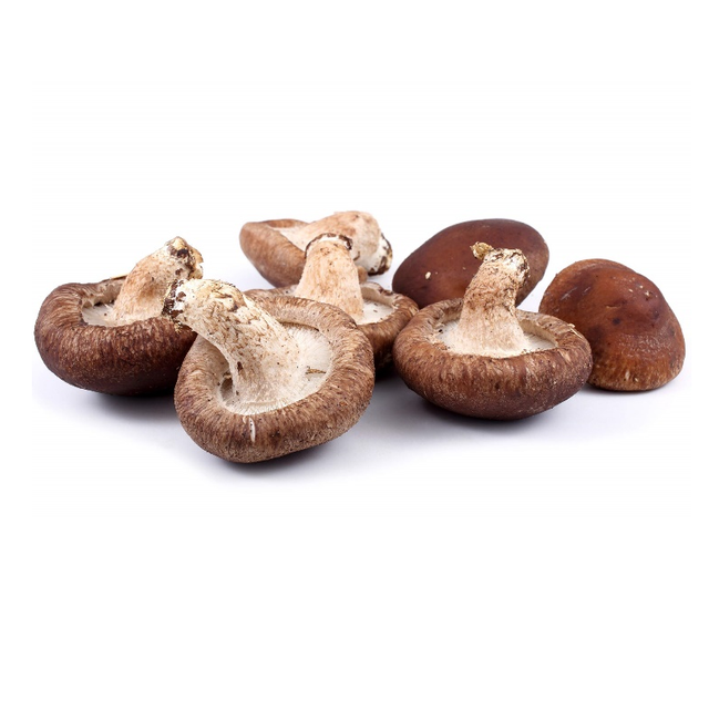 Chiết xuất nấm hương Polysaccharides
