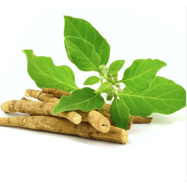 Ashwagandha-extract
