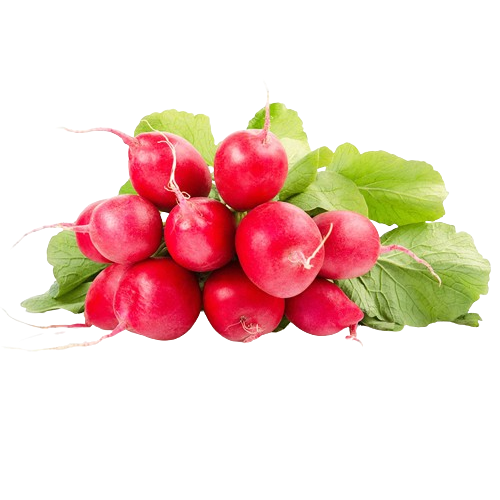 Radijs Rood