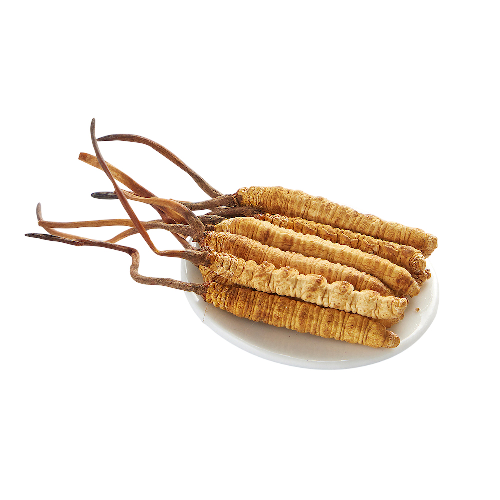 Cordyceps-Pulverextrakt