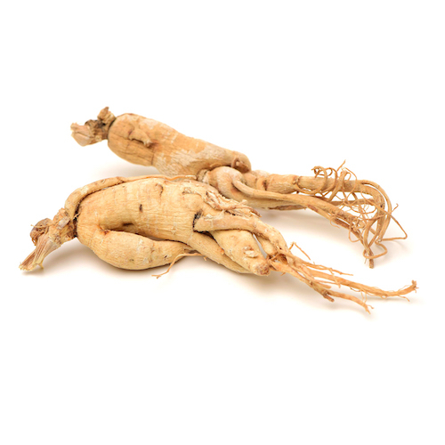 Ekstrak Akar Ginseng